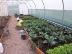 Kitchen Gdn02.jpg